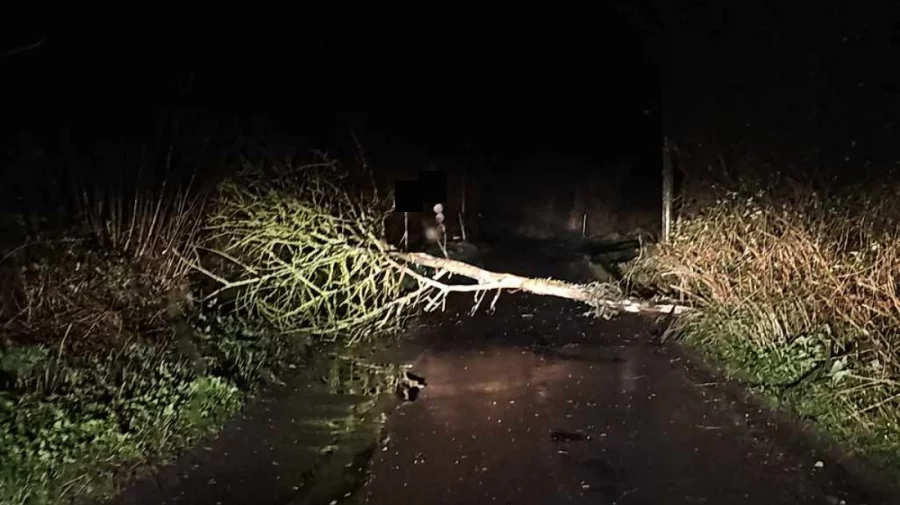 ছাতকে যাত্রীবাহী দুই বাস আটকে ডাকাতি, টাকা-মোবাইল ফোন লুট